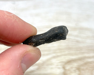 Darwin Glass Tektite #8