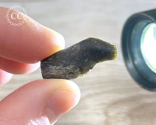 Darwin Glass Tektite #8