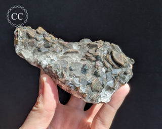Calcite with Pyrite - Daye Mine, Hubei #2