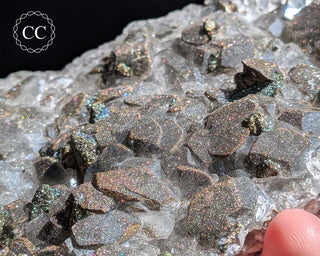 Calcite with Pyrite - Daye Mine, Hubei #1