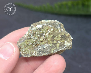 Demantoid Garnet - California #8