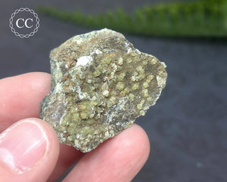 Demantoid Garnet - California #8