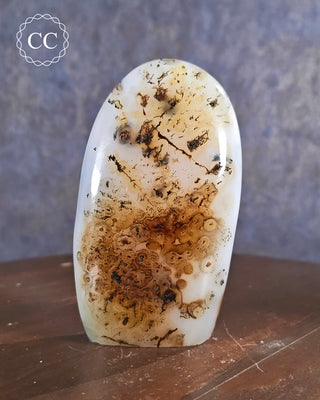 Dendritic Agate Freeform #3