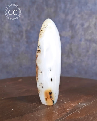 Dendritic Agate Freeform #3