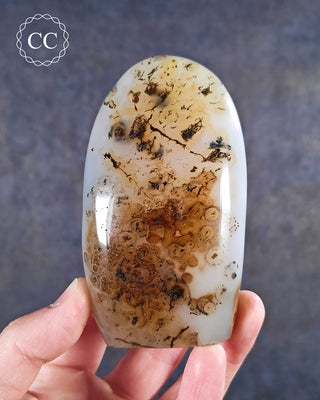 A hand holding a Dendritic Agate freeform from Madagascar
