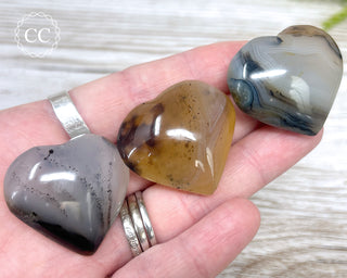 Dendritic Agate Hearts in hand