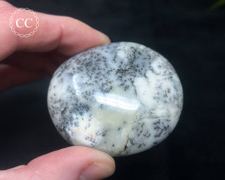 Dendritic Opal | Merlinite Chunky Palm Stone #3