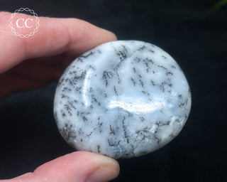 Dendritic Opal | Merlinite Chunky Palm Stone #3