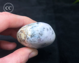 Dendritic Opal | Merlinite Chunky Palm Stone #5