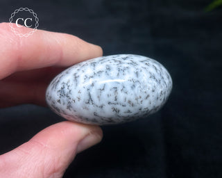 Dendritic Opal | Merlinite Chunky Palm Stone #6