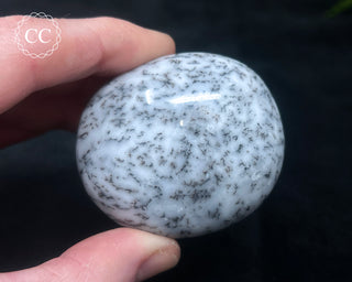 Dendritic Opal | Merlinite Chunky Palm Stone #6
