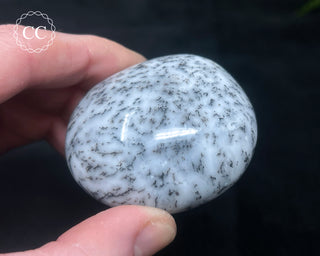 Dendritic Opal | Merlinite Chunky Palm Stone #6