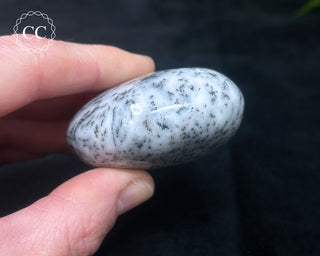 Dendritic Opal | Merlinite Chunky Palm Stone #6