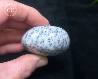 Dendritic Opal | Merlinite Chunky Palm Stone #6