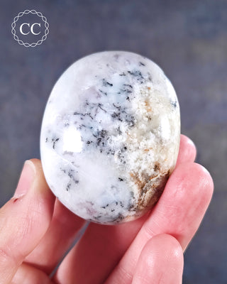 Dendritic Opal | Merlinite Chunky Palm Stone #5
