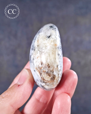 Dendritic Opal | Merlinite Chunky Palm Stone #5