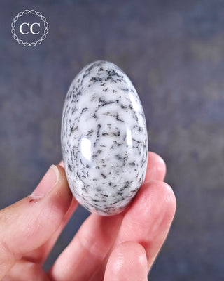 Dendritic Opal | Merlinite Chunky Palm Stone #6
