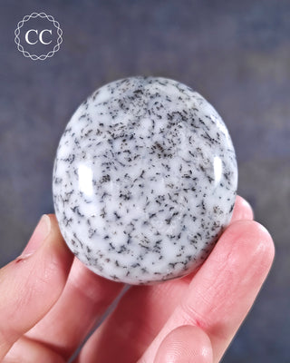 Dendritic Opal | Merlinite Chunky Palm Stone #6
