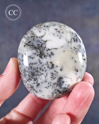 Dendritic Opal | Merlinite Chunky Palm Stone #3
