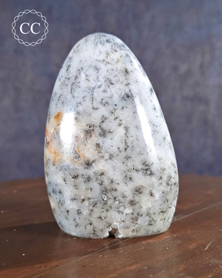 Dendritic Opal | Merlinite Freeform #2