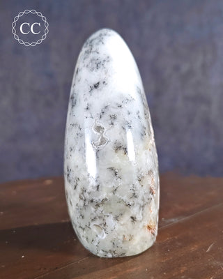 Dendritic Opal | Merlinite Freeform #2