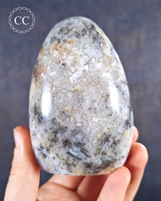 A hand holding a Dendritic Opal Freeform from Madagascar