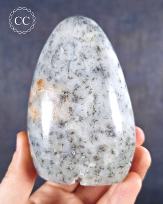 A hand holding a Dendritic Opal Freeform from Madagascar