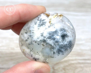 Dendritic Opal | Merlinite Chunky Palm Stone #1