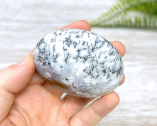 Dendritic Opal | Merlinite Chunky Palmstone #1