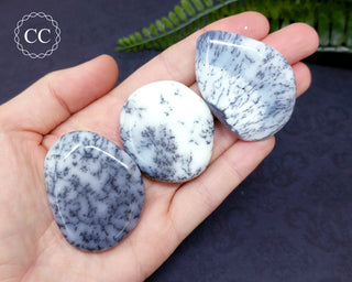 Dendritic Opal | Merlinite Palm Stones in hand