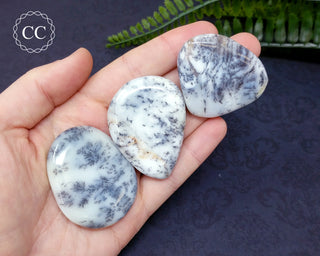 Dendritic Opal | Merlinite Palm Stone