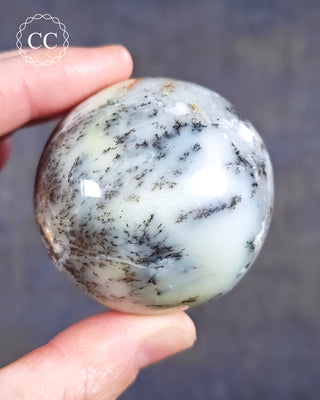 A hand holding a Dendritic Opal - Merlinite Sphere from Madagascar 