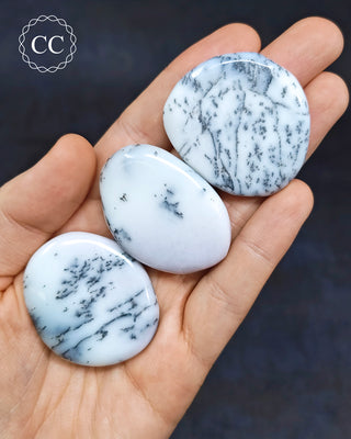 Dendritic Opal | Merlinite Flat Palm Stones in hand
