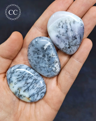 Dendritic Opal | Merlinite Flat Palm Stone