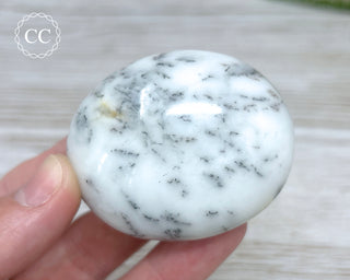 Dendritic Opal | Merlinite Chunky Palm Stone #3