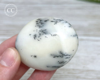 Dendritic Opal | Merlinite Chunky Palm Stone #5