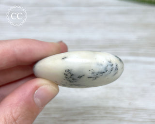 Dendritic Opal | Merlinite Chunky Palm Stone #5