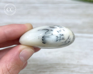 Dendritic Opal | Merlinite Chunky Palm Stone #5