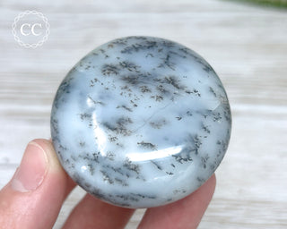 Dendritic Opal | Merlinite Chunky Palm Stone #6