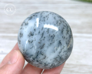 Dendritic Opal | Merlinite Chunky Palm Stone #6