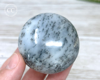 Dendritic Opal | Merlinite Chunky Palm Stone #6