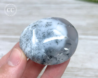 Dendritic Opal | Merlinite Chunky Palm Stone #8