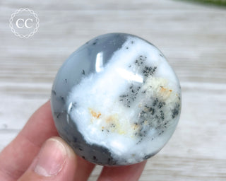 Dendritic Opal | Merlinite Chunky Palm Stone #9