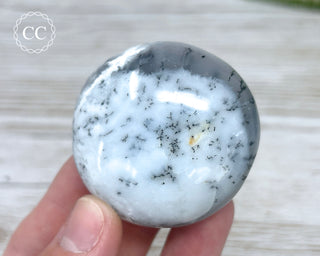 Dendritic Opal | Merlinite Chunky Palm Stone #9