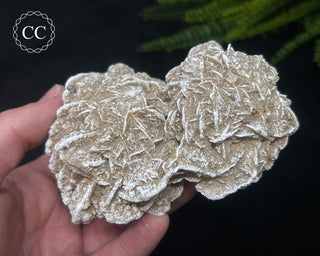 Desert Rose Cluster #4