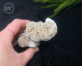 Desert Rose Cluster #1