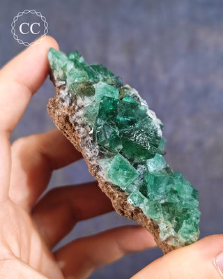 Diana Maria Fluorite #2