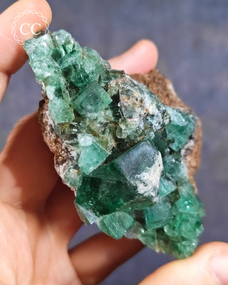 Diana Maria Fluorite #2