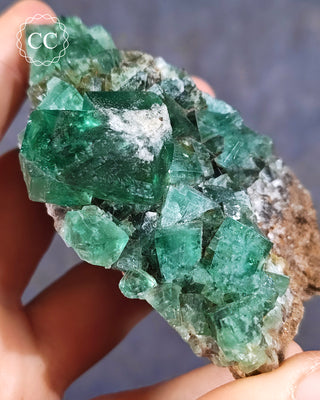 Diana Maria Fluorite #2
