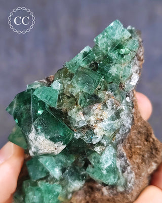 Diana Maria Fluorite #2